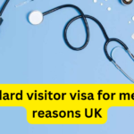 Standard visitor visa for medical reasons UK